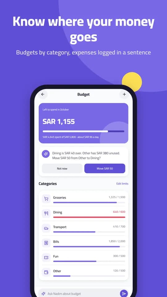 Nadim: Monthly budget by category